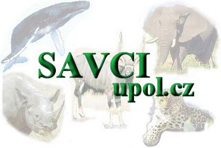 Savci.upol.cz